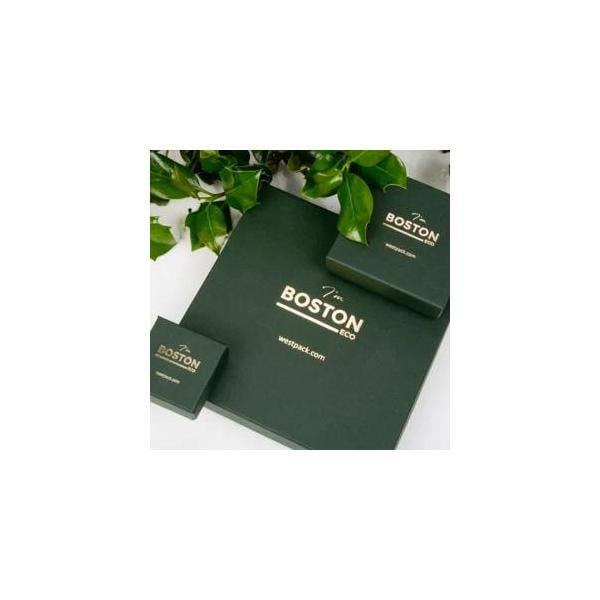 Die neue Boston Eco