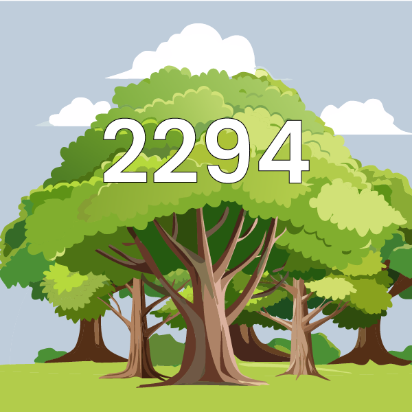 Day of forests 2025