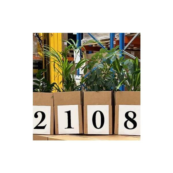 Fundraiser Borneo 2024