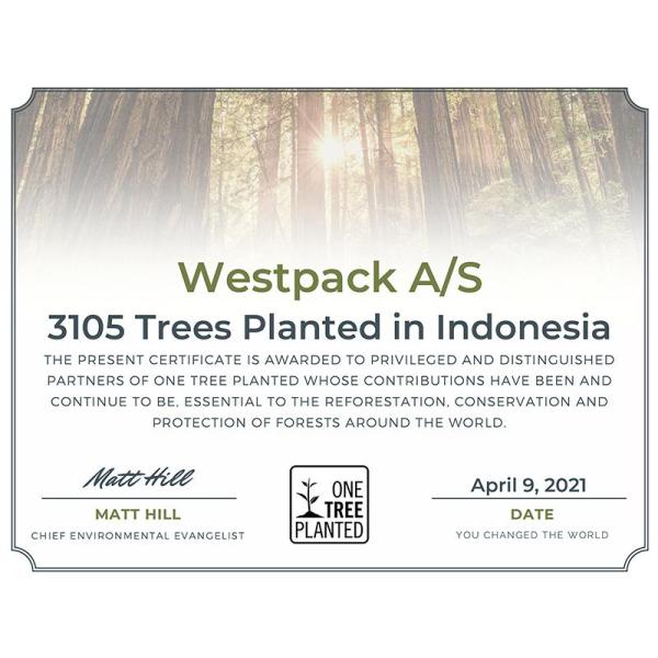 Vi har lige doneret 3.105 træer til en nationalpark i Indonesien - takket være vores kunder